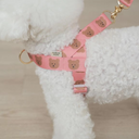 ポップベアハーネス