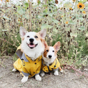 Yellow Rain Coat