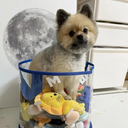 クリアポップトイバスケット