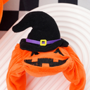 Pumpkin Wear&hat