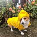 Yellow Rain Coat