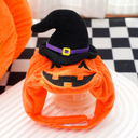 Pumpkin Wear&hat