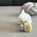 マーマレードジャム