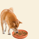 Slow Food Bowl <Cactus>