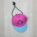 カラフルパピーキャップ