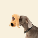 Dachshund Toy