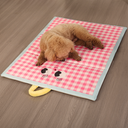 Cool Pet Mat