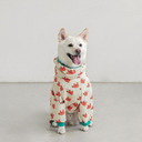 animal rainwear