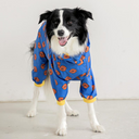 animal rainwear