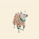 animal rainwear