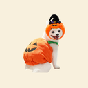Pumpkin Wear&hat