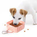 Macaron Portable Bowl <折りたたみボウル>