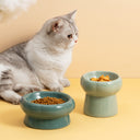 Ceramic Food Bowl