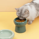 Ceramic Food Bowl