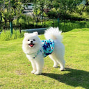 Pop Flower All-in-one