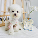 Ribbon - blue & pink -