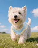 UPF50+ Pastel Summer Wear