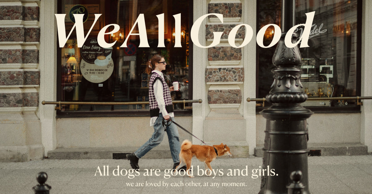 特定商取引法に基づく表記 – WeAllGood
