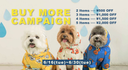 BUY MORE CAMPAIGN
