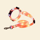 光る首輪＆リード