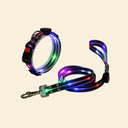 光る首輪＆リード