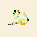 光る首輪＆リード