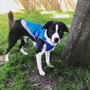 Cool Down Vest