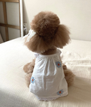 summer camisole