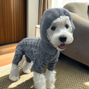 ケーブルニットバラクラバセットアップ【単品】