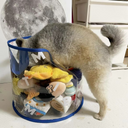 クリアポップトイバスケット