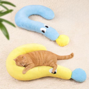 Question Pillow