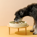 スローフィードセラミックボウル