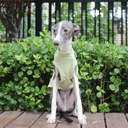 Cool Summer Vest