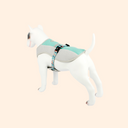 Cool Down Harness