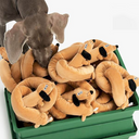 Dachshund Toy