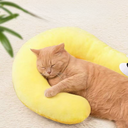 Question Pillow