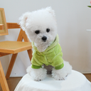 リトルダイナソーフーディ