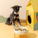 スローフィードセラミックボウル