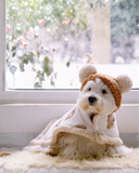 くまさんポンチョブランケット