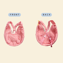 キルティングスリング