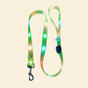 光る首輪＆リード