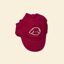 カラフルパピーキャップ