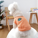 planet hoodie