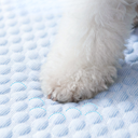 フルーツモチーフクールベッド