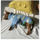 Sunny Day Sweater