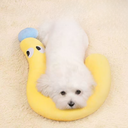 Question Pillow