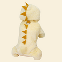 恐竜きぐるみウェア