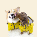 Yellow Rain Coat