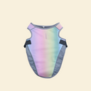 Cool Down Vest