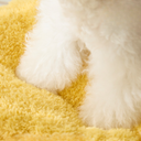 ナチュラルモンスターハウス